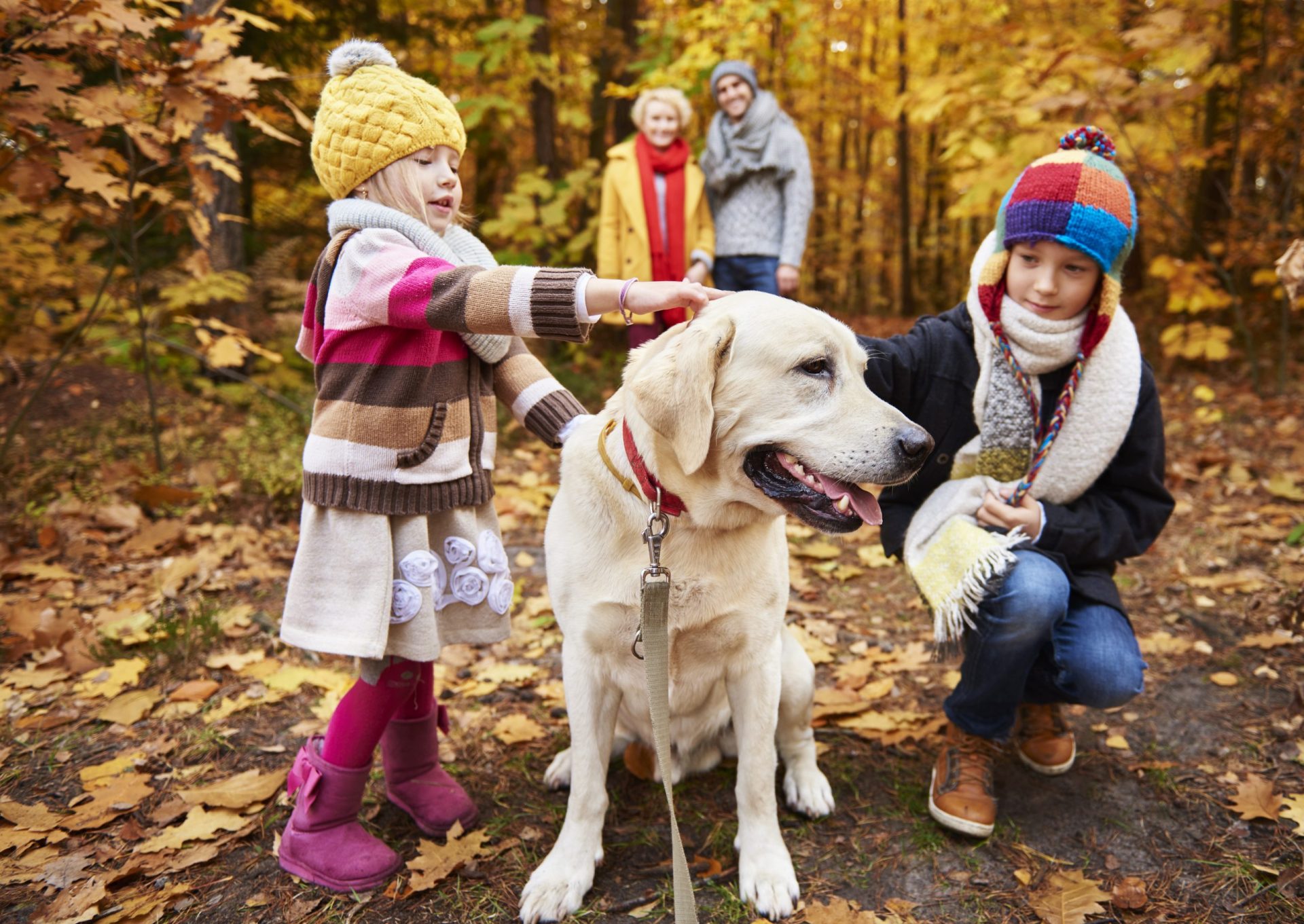 Teaching Children to Care for Pets